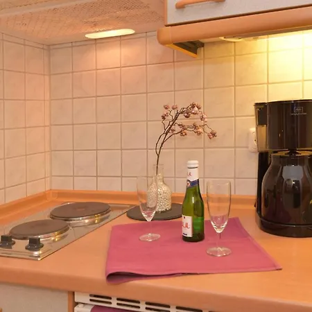 Erlkoenig Gaesteappartements شقة فندقية