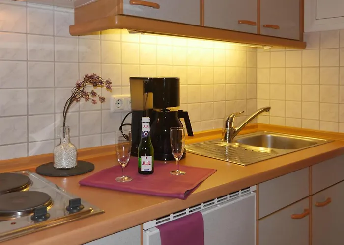 Erlkoenig Gaesteappartements 아파트호텔 바트푸징